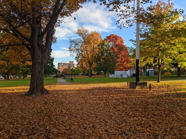 A view through the park to our apartment.