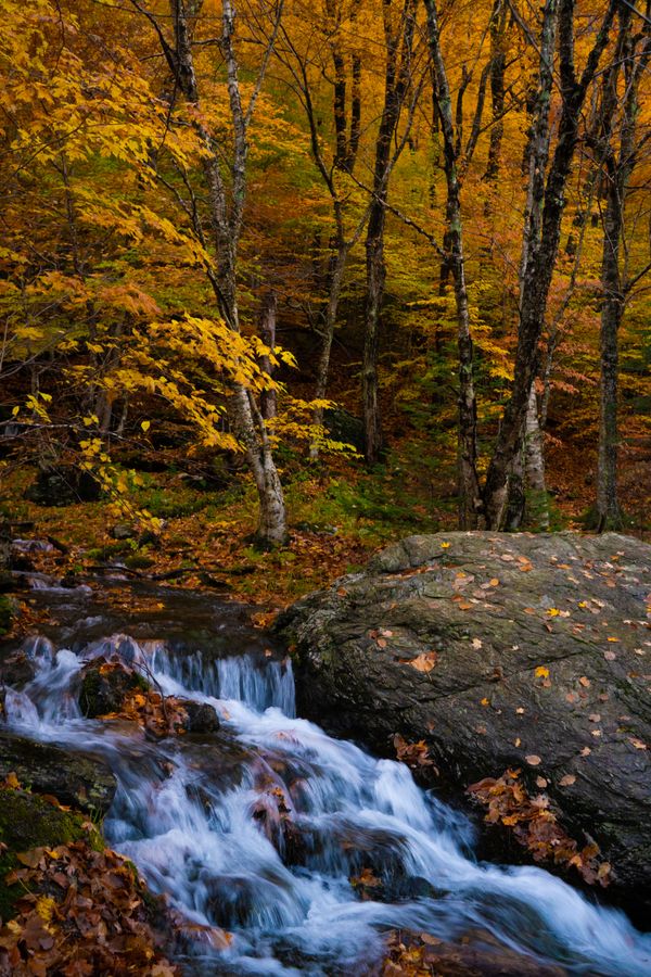 A stream running through Smuggler’s Notch