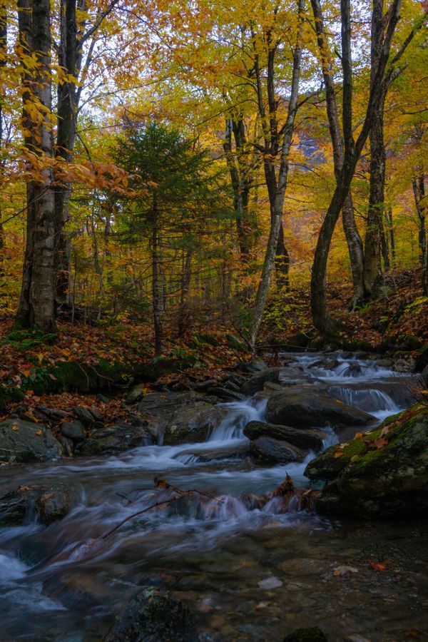 A stream running through Smuggler’s Notch