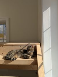 [object Object]